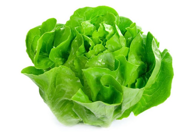 Laitue